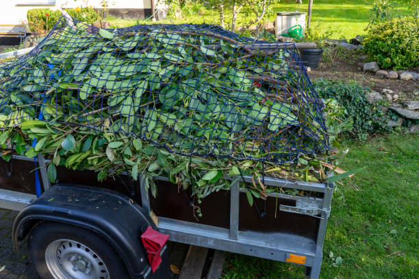 Best Shed Removal  in Reidsville, NC